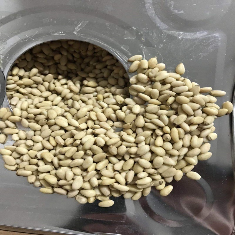 Bulk Raw Dried Huashan Peeled Pine Nuts Best Price Available