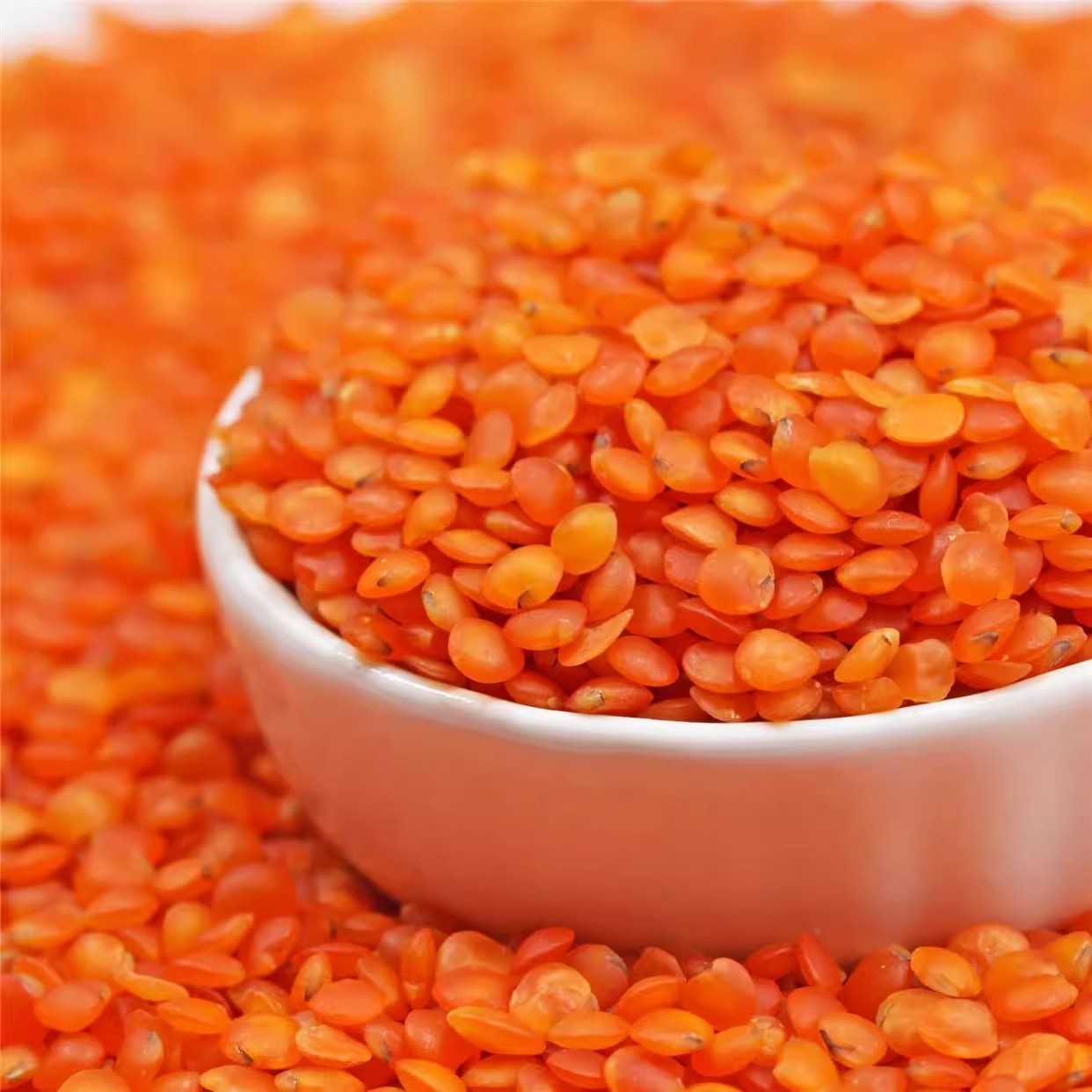 Cheapest Prices Wholesale Red Split Lentils Red Lentils Price Good Bulk Australian Red Lentils For Make Food Beverage