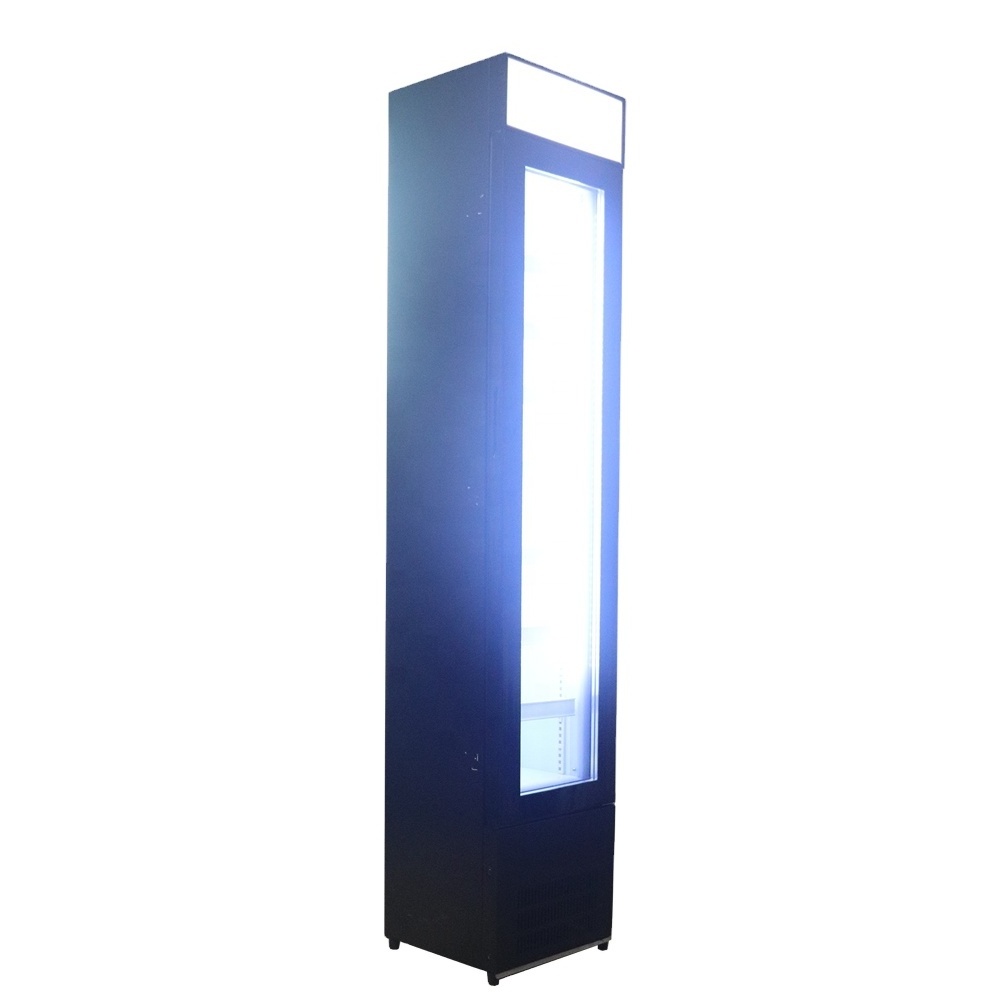 Slim design Static Cooling Vertical Upright Display Freezer with glass door