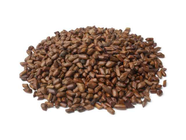 High Quality Cassia Tora Seed Supplier