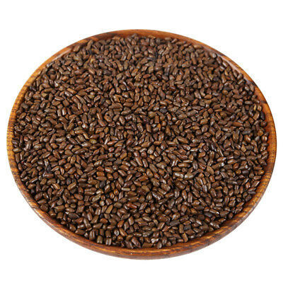 High Quality Cassia Tora Seed Supplier