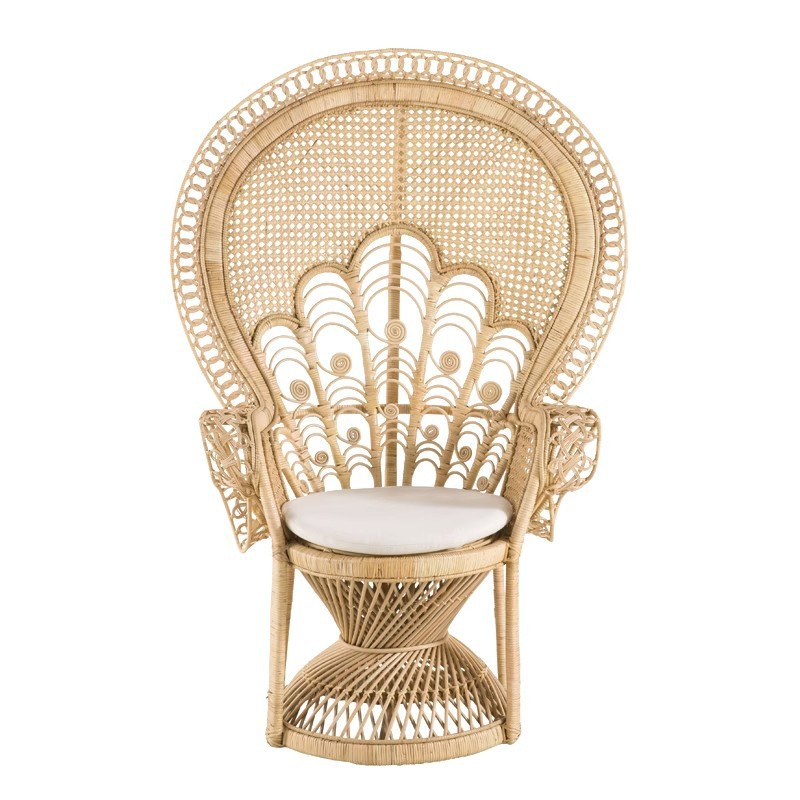 Modern Rattan and Metal Garden Peacock Chairs Leisure Style Outdoor Lounge Chair for Kitchen Hotel Apartment Home Patio Beach