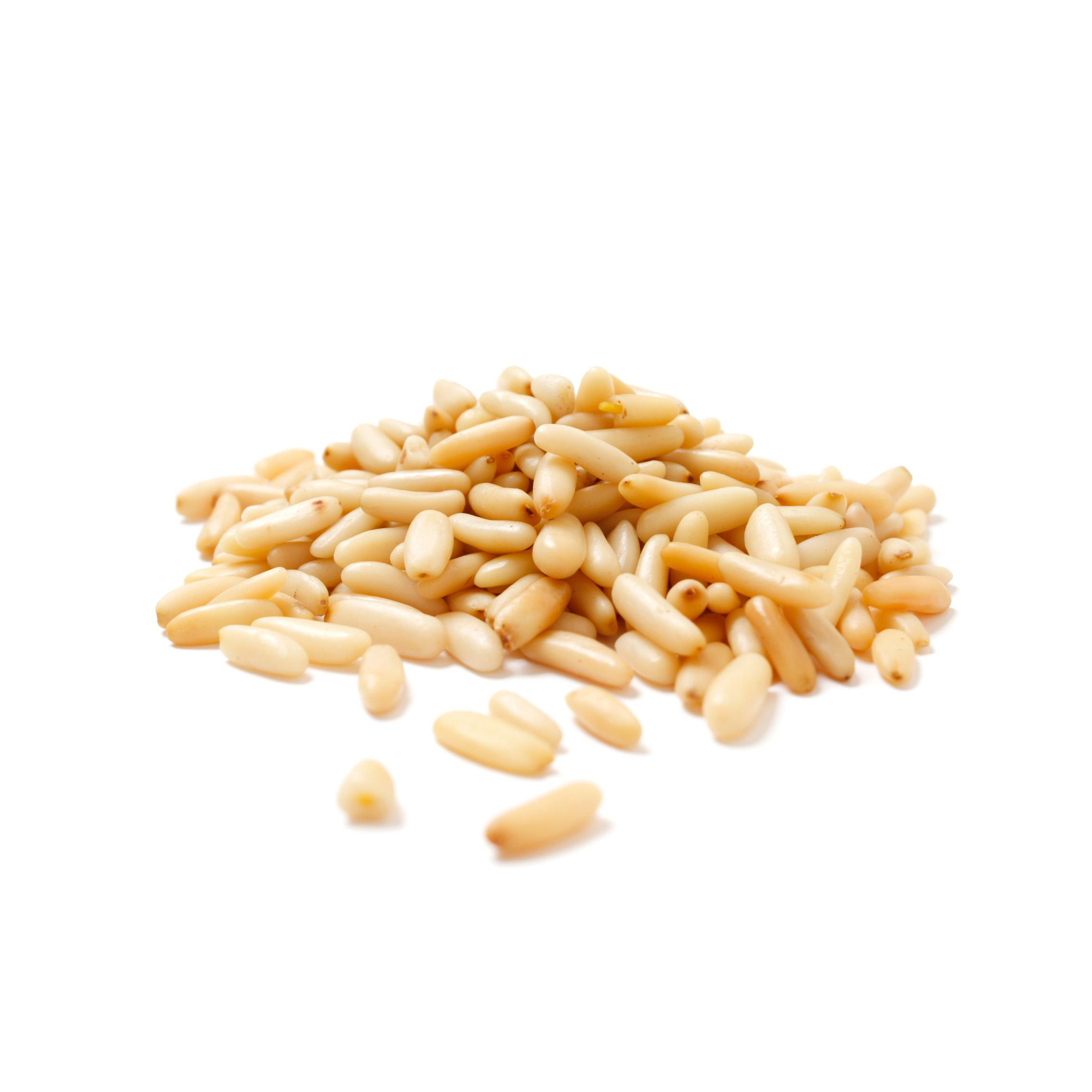 Pine Nut Kernels In Vacuum Bags, Bulk, Top Quality, Sustainably Sourced, Naturally Produced, Raw