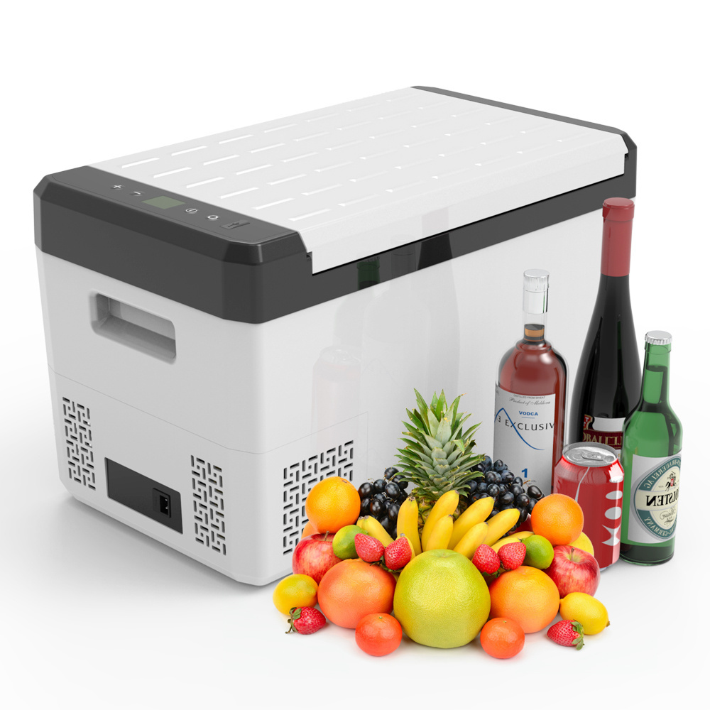 FROZEN 25 Liters car fridge electric car cooler 12 volts mini compact refrigerator with ICES FCC