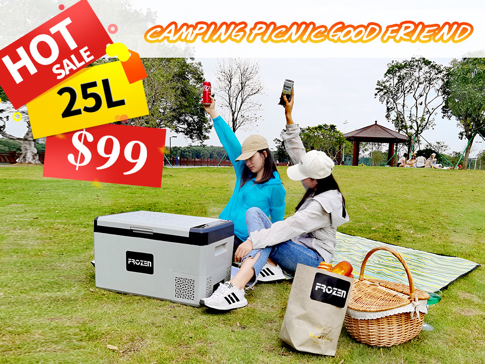 FROZEN 25 Liters car fridge electric car cooler 12 volts mini compact refrigerator with ICES FCC