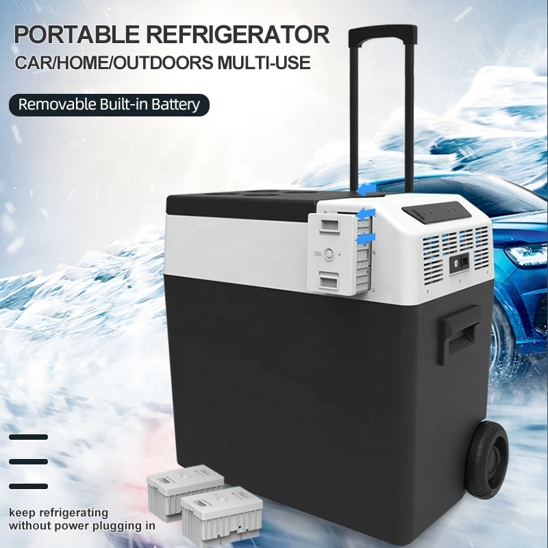 Energy Save Mini Car Freezer Cooler Portable Auto Food Drinks Refrigerator Car Travel Fridge