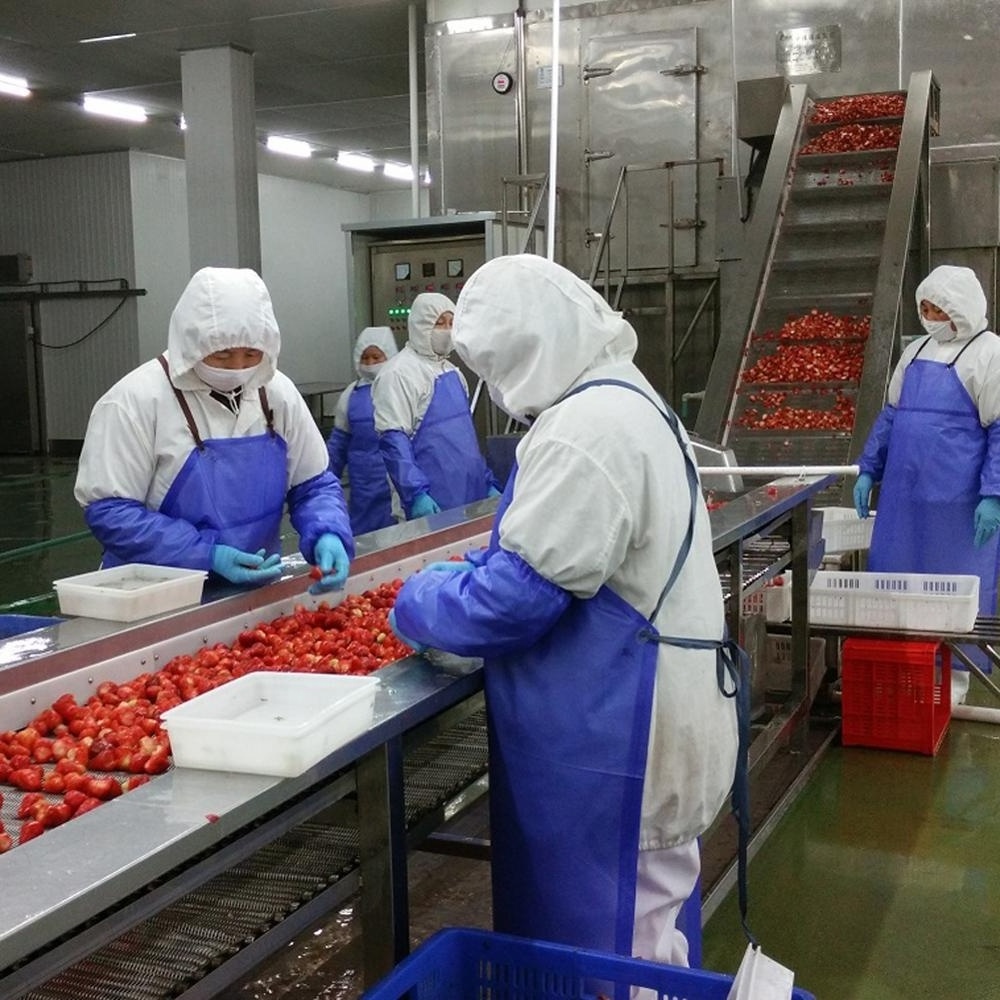 Haccp China Export IQF Frozen Strawberry Fruit With High Quality