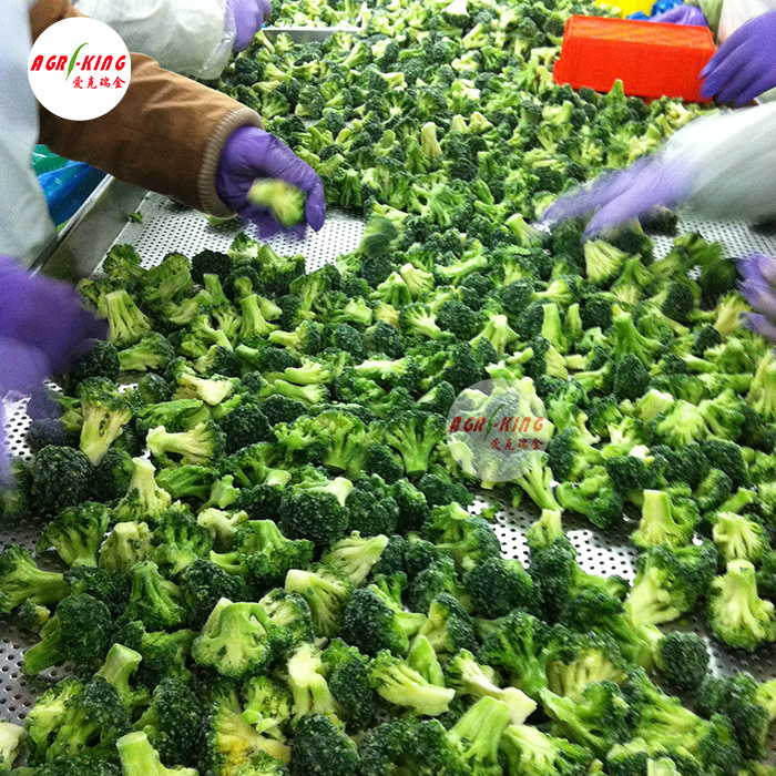 Fresh broccoli IQF from China