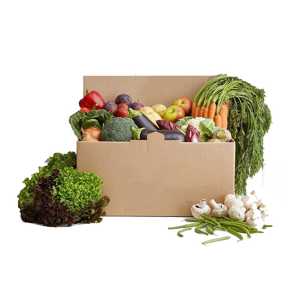 High Quality Rigid Corrugated Strong Carton Box Fresh Fruit Vegetable Cardboard Banana Box