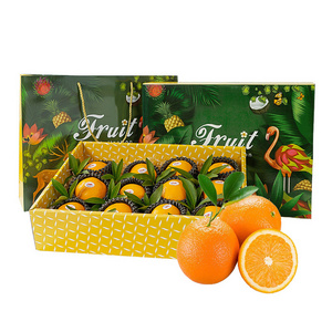 Hot Sale Rectangle Fruit Packaging Moving Corrugated Carton Orange Citrus Fruit Boxes with Portable Handle for Fruit Packaging