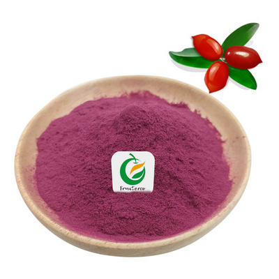 Fruiterco Wholesale Synsepalum Dulcificum Miracle Fruit Berry Powder 100% Natural  Miracle Powder