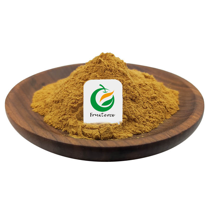 Fruiterco Humulus Lupulu Hops Flower Extract xanthohumol Powder Hops Flower Extract