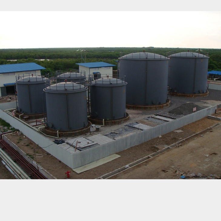 Energy & Mining 1000 Cubic Meter Vertical Crude Oil Storage Reservoir Oil Tank Fuel Tank Storage