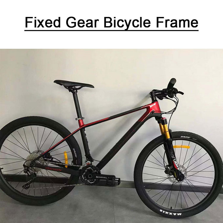 Wholesale New Arrival 700C Single Speed Aluminum Alloy Fixed Gear Carbon Bike Frame