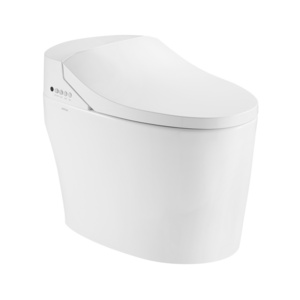 ARROW Brand Wash Power Saving Bidet Wc Intelligent Smart Toilet In White