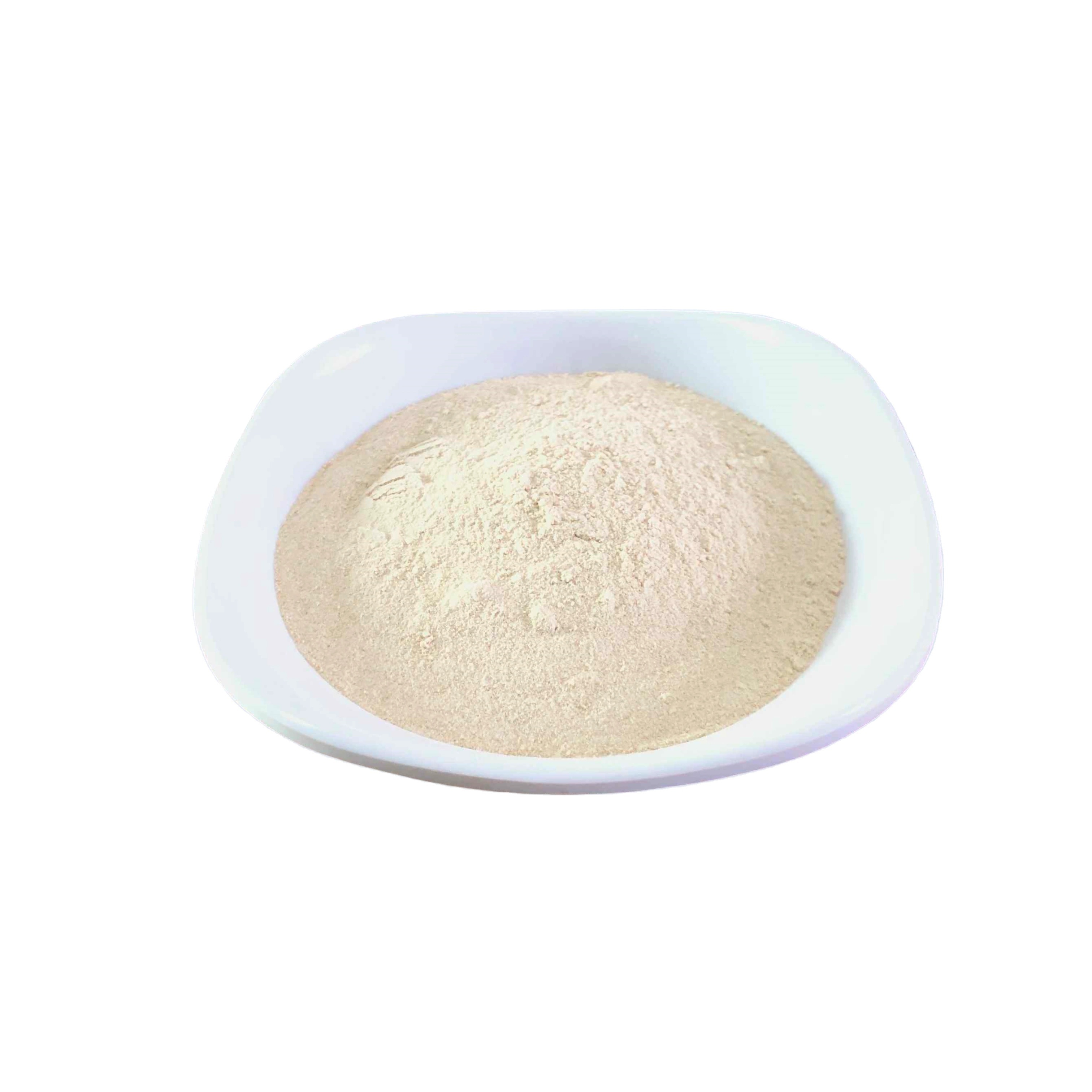 China factory Supply Food Grade Good Quality Vital Wheat Gluten