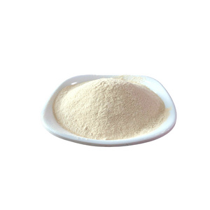 Food Grade Hot Sales Vital Mucedin Vital Wheat Gluten