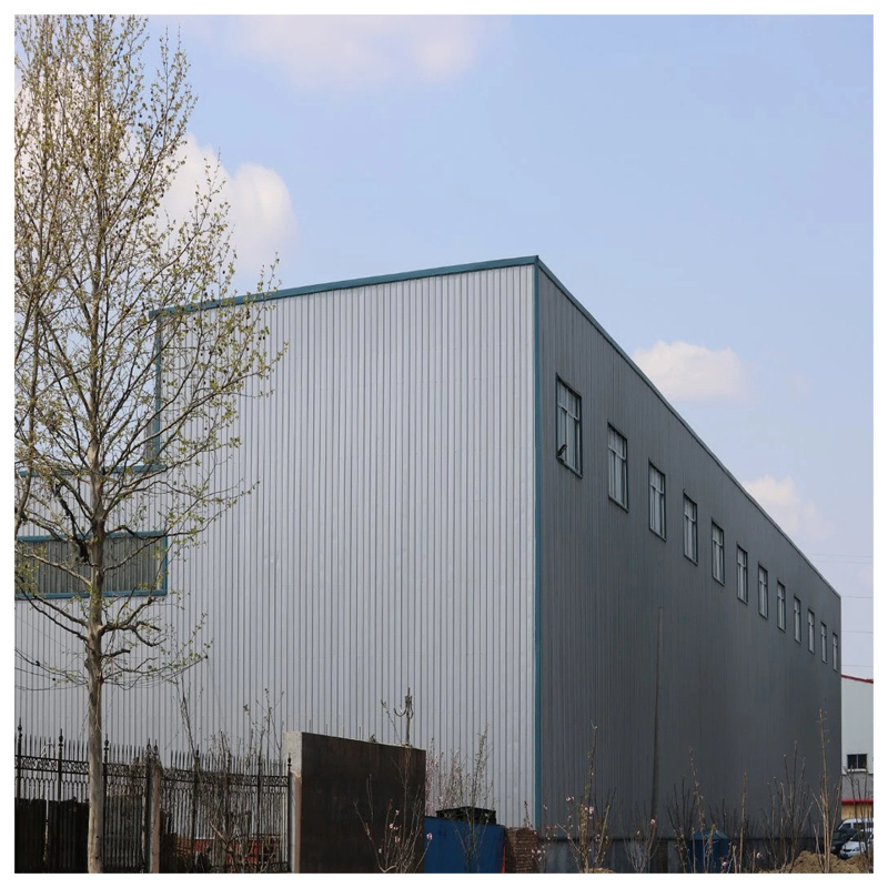 Li Xin Cheap Construction Steel Structure Prefabricated Modular Commercial Buildings Heavy Duty Prefab Home Warehouse