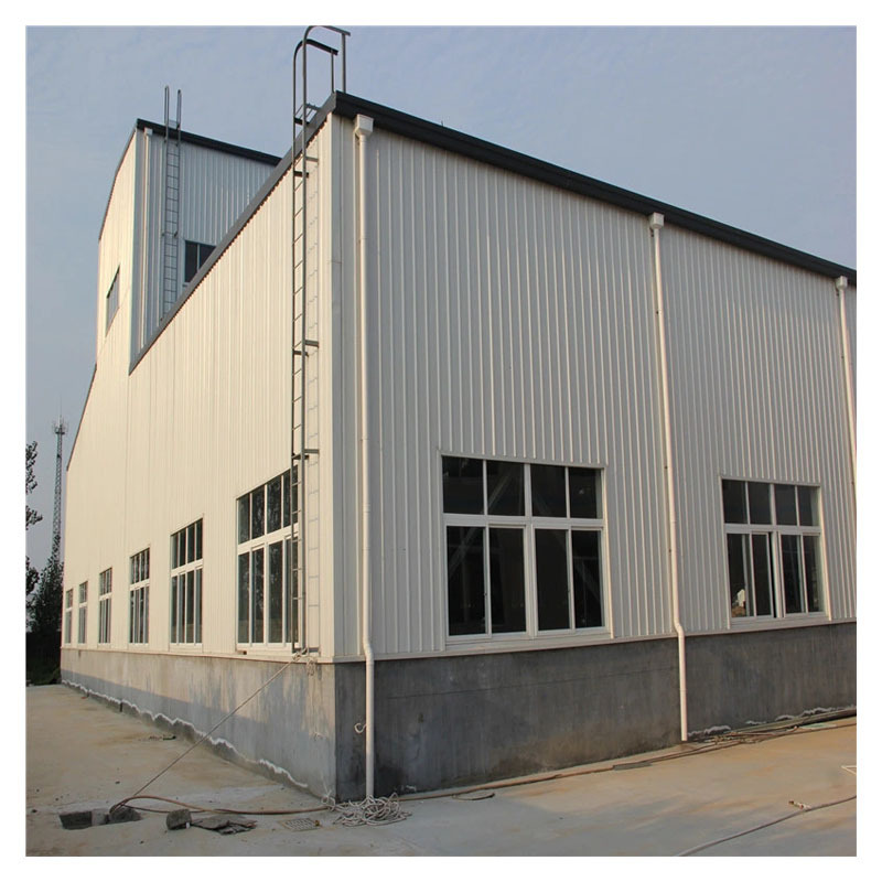 Li Xin Cheap Price Steel Frame Warehouse Construction Prefabricated Metal Buildings Prefab Steel Structure Workshop