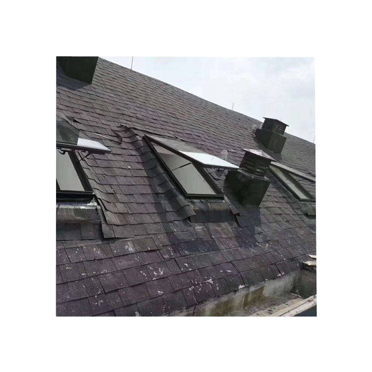 Manufacturer New Design Weather Resistance Curb Mounted Skylight Aluminum Triangle Windows