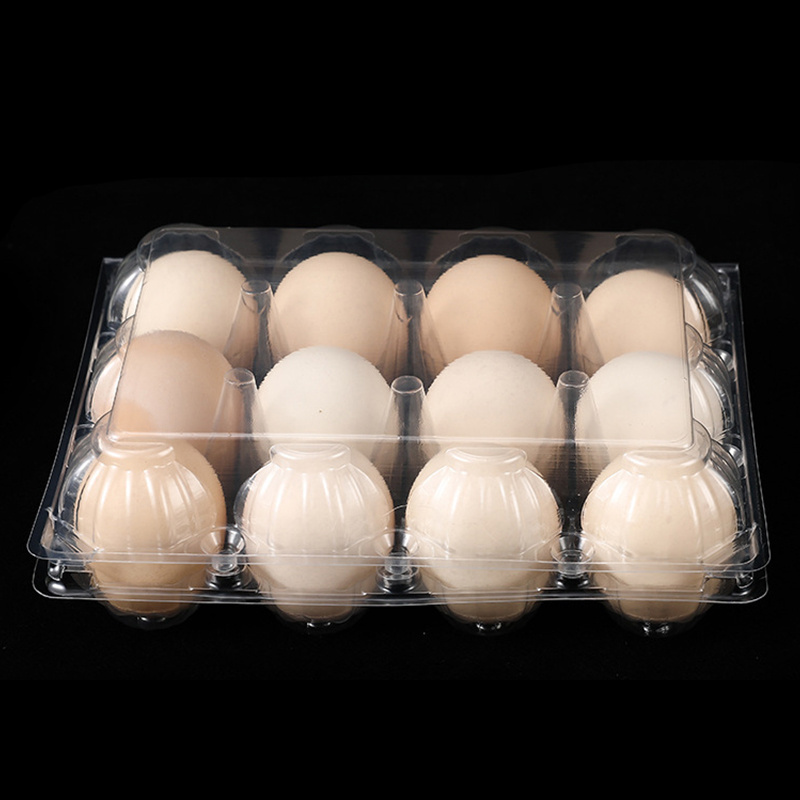 PET Plastic 12 holes duck goose eggs packaging tray plastic disposable eggs blister packaging tray