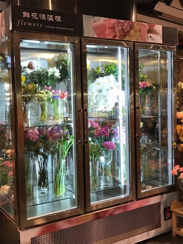 All Glass Sides Flower Fresh Keeping Refrigerator For Florist