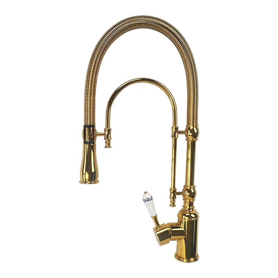 European-style mirror titanium gold spring kitchen faucet sink hot and cold shower double outlet