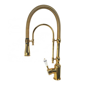 European-style mirror titanium gold spring kitchen faucet sink hot and cold shower double outlet