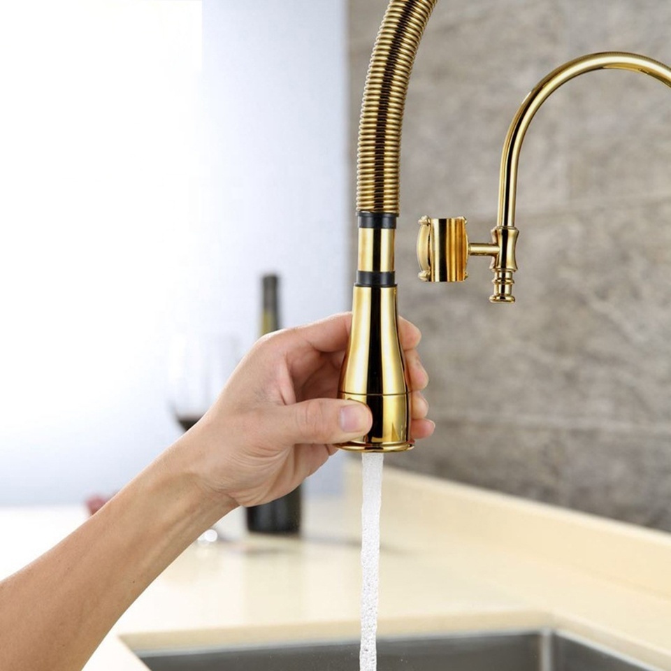 European-style mirror titanium gold spring kitchen faucet sink hot and cold shower double outlet