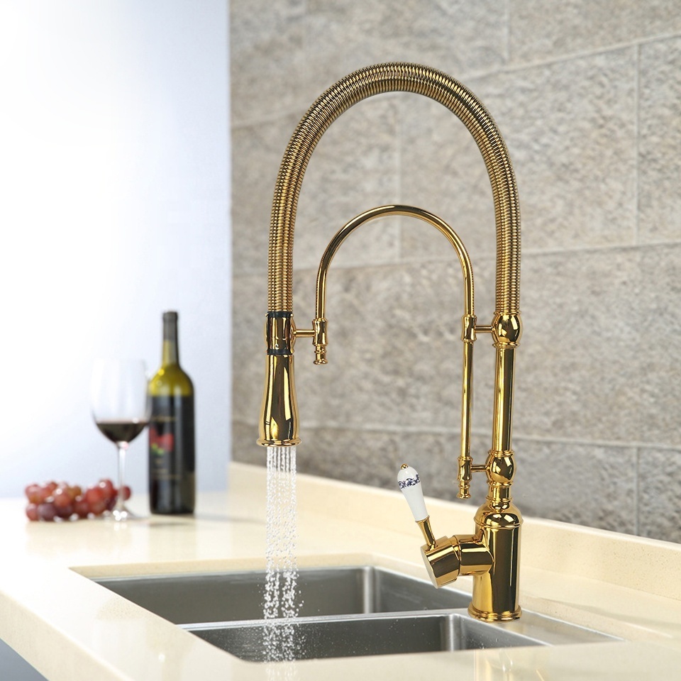 European-style mirror titanium gold spring kitchen faucet sink hot and cold shower double outlet