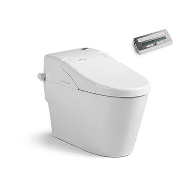 Washdown floor mounted one piece smart toilet