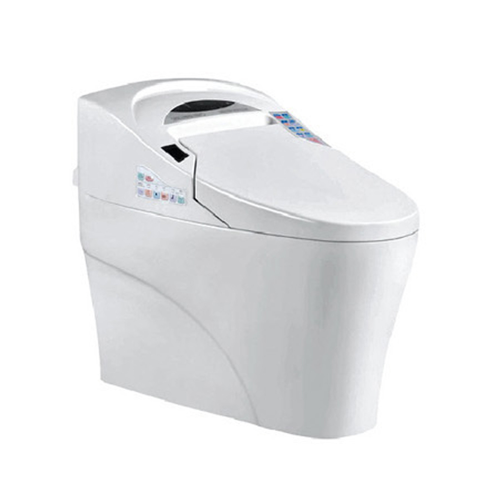 Camping Water Closet wall hung intelligent toilet