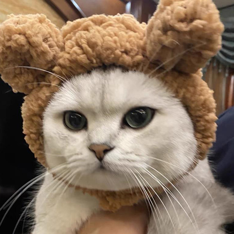 Cute Bear Pet Cat Hat Dress Up Pet Headwear Kitten Puppy Headgear Warm Hat for Cat Pet Product Cat Accessories