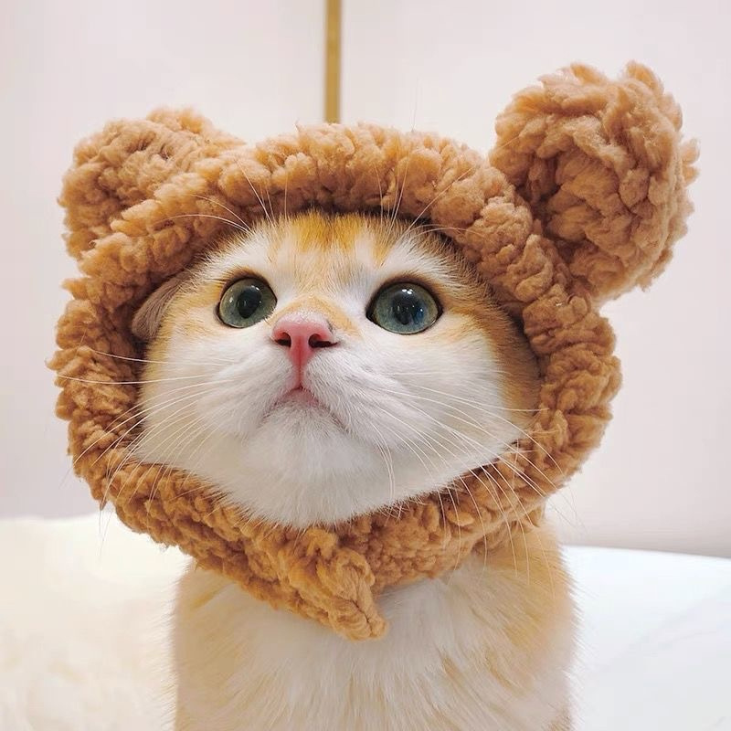 Cute Bear Pet Cat Hat Dress Up Pet Headwear Kitten Puppy Headgear Warm Hat for Cat Pet Product Cat Accessories