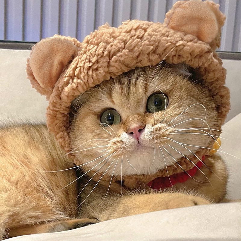 Cute Bear Pet Cat Hat Dress Up Pet Headwear Kitten Puppy Headgear Warm Hat for Cat Pet Product Cat Accessories