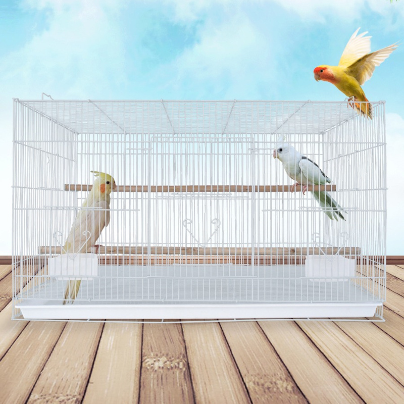 Bird cage for sale large white parrot metal wire cage quail bird cage