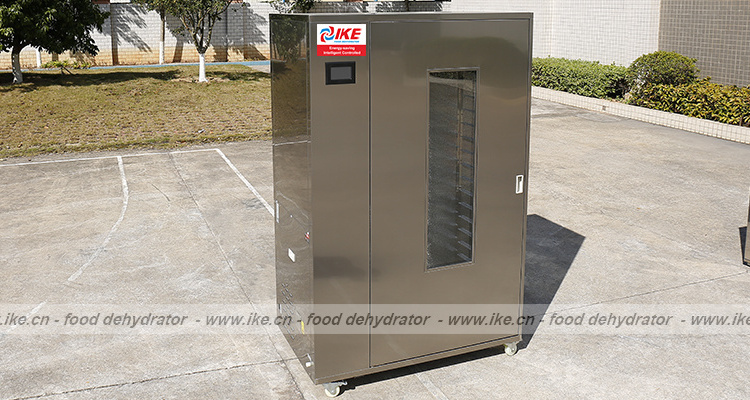 Heat Pump Food Dehydrator Salami Dryer Meat Dehydrator Machine High Efficiency Dryer IKE Provided PLC Energy Saving Tray Dryer