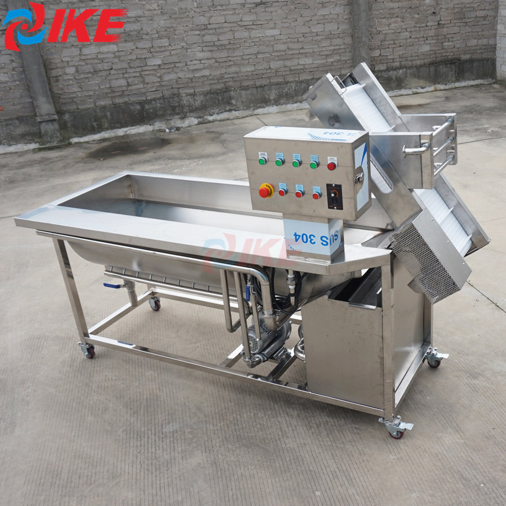 Commercial Food Washing Machine Efficient Clean Mango Stainless Steel Eddy Current Apple Washing Equipment