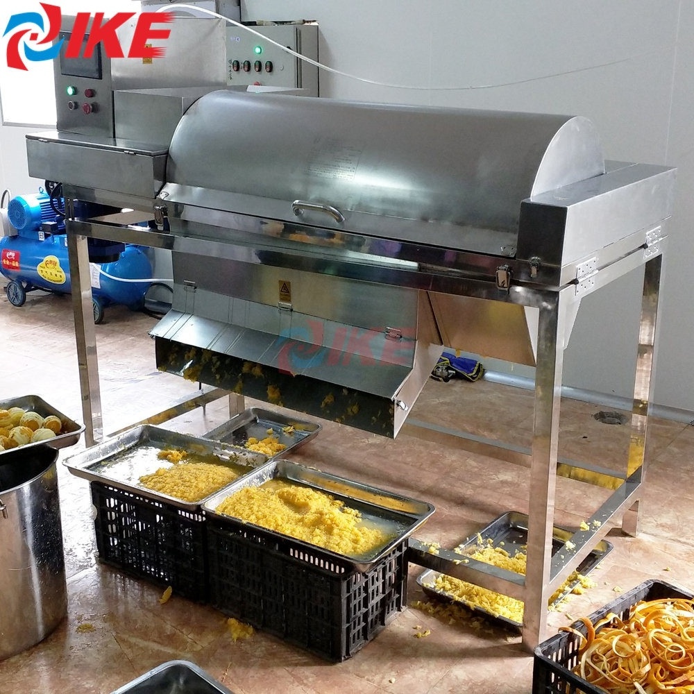 Automatic Passion Fruit Pomegranate Seed Deseeder Peeler Orange Berry Separator Processing Machine