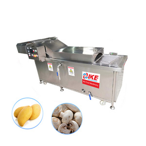 Vegetable Blanching Machine Fruit Mushroom Potato Heating Blanching Food Blanching Machine