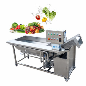 Commercial Food Washing Machine Efficient Clean Mango Stainless Steel Eddy Current Apple Washing Equipment