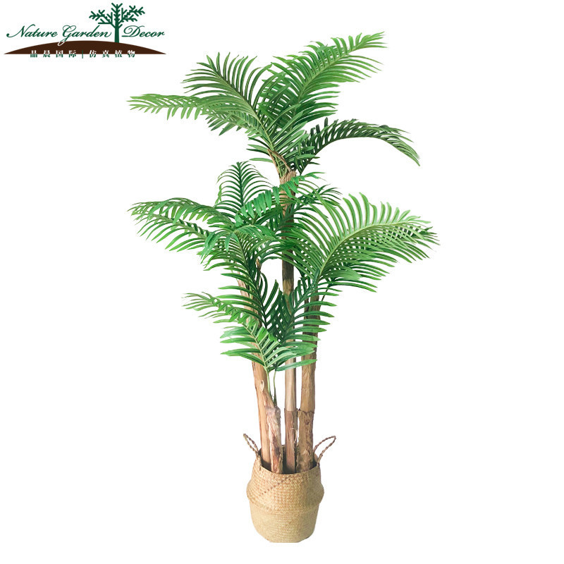 Newest Multi King Palms Plant Miniature Palm Tree Art