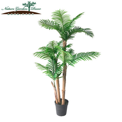 Newest Multi King Palms Plant Miniature Palm Tree Art