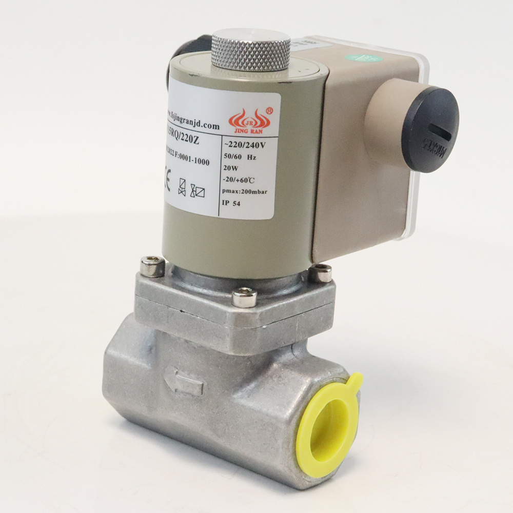 DN15 Gas Solenoid Valve 220V Gas Emergency Shut Off Solenoid Boiler gas valve burner spare parts