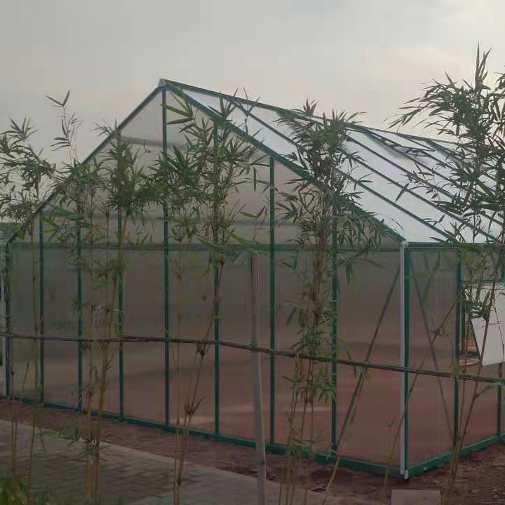 low cost commercia plastic polycarbonate used agricultural greenhouse for sale