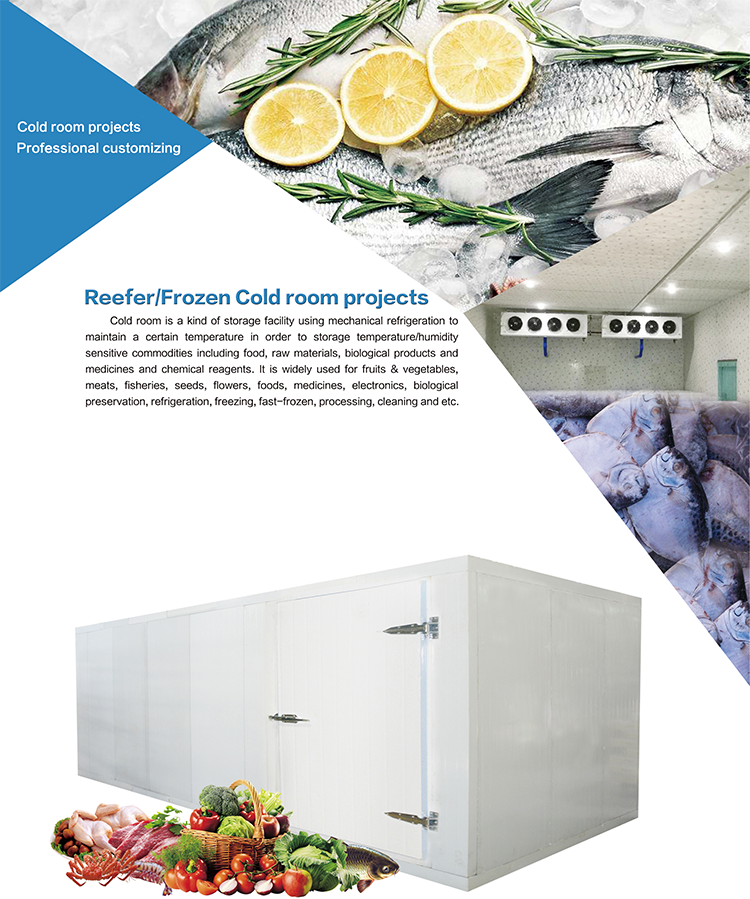 freezer container 20ft cold storage room Container Solar Powered Cold Storage Room for Fish Meat Vegetable Ice Store