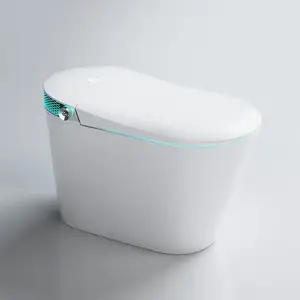 Guangdong Smart Toilet Auto Washing Automatic Water Spray Smart Bidet Toilet Intelligent