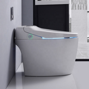 Rimless Smart Toilet Siphon Jet Flushing Premium Smart Toilet With Bidet Built In