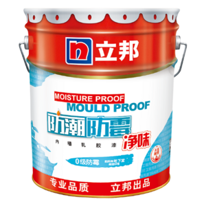 Mold proof Damp proof interior  paintings and wall decoration professional decor arts Emulsion latex paint