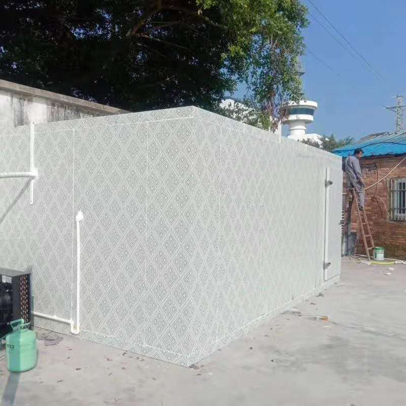 cold room for fish storage walk in blast freezer refrigerated containers